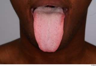 Kavan tongue 0001.jpg